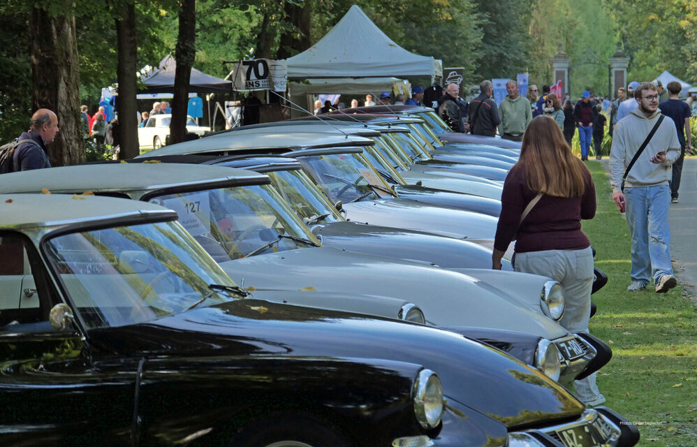 Rangée de Citroën DS classiques sur la pelouse du parc lors du rassemblement